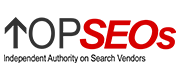 topseo logo