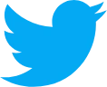 Twitter Paid Advertising twitter-logo