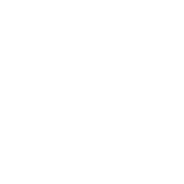 thanksweb-footer-white-logo